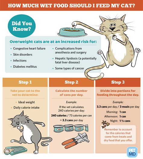 how much sheba to feed cat|wet cat food portion size.